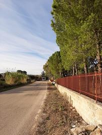Terreno su SP66 in c.da Specchia Tarantina