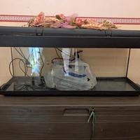 acquario 120lt completo