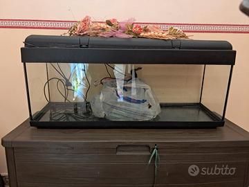 acquario 120lt completo