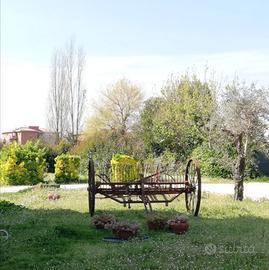 rastrello da fieno