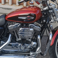 Harley davidson sportster