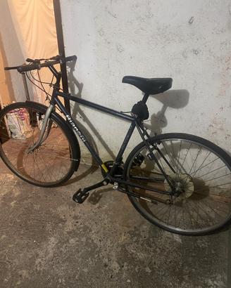 Bici bianchi