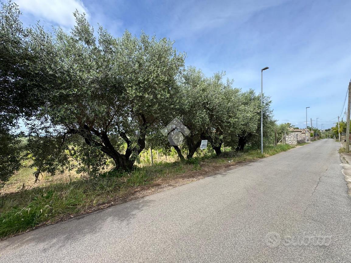 TER. AGRICOLO A LANUVIO - Vista 5
