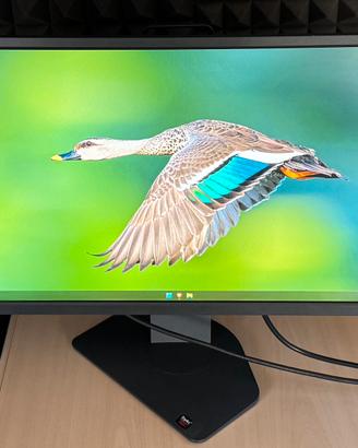 Monitor benq 360hz