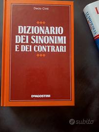 dizionario 
