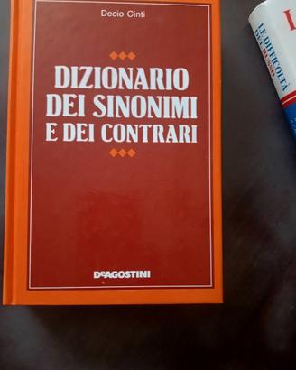 dizionario 