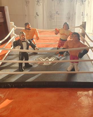 Wrestling Action Figure WWF Hasbro + Ring Mattel