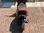 Immagine 4