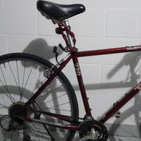 bicicletta Trek 720