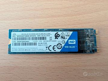WD Blue 2TB M.2 SATA SSD