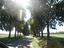 Immagine 20