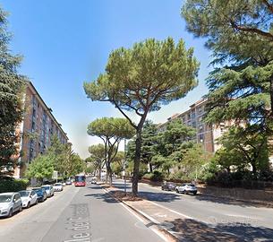 Alessandrino bilocale arredato