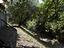 Immagine 12