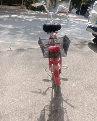 Bici pieghevole
