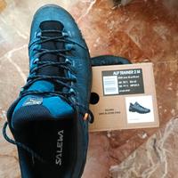 Salewa Alp Trainer 2 M EU 45