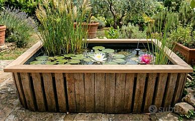 Starter kit piante fitodepuranti 