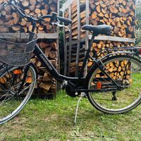 Bicicletta da donna