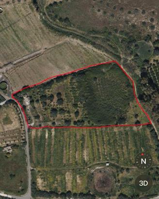 Terreno agricolo a Belpasso in contrada campana