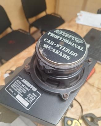 sub woofer audiotop vintage 