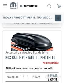 Box baule portatutto per tetto