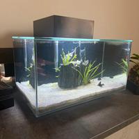 Acquario fluval Edge