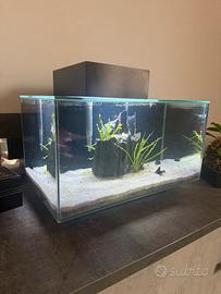 Acquario fluval Edge