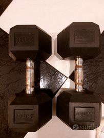 Dumbells  22,5 kg powrx