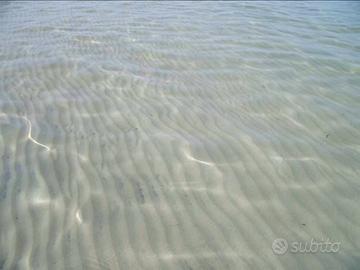 Vista mare torre lapillo Porto Cesareo in centro
