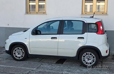 Panda III 2021 1.0 firefly hybrid