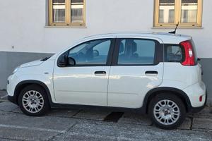 Panda III 2021 1.0 firefly hybrid