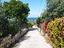 Immagine 6