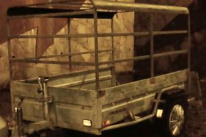 Carrello