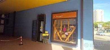 Negozio Grosseto [Cod. rif 3303577VCG]