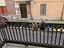 Immagine 7