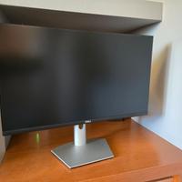 Monitor DELL