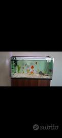 Acquario 360 litri
