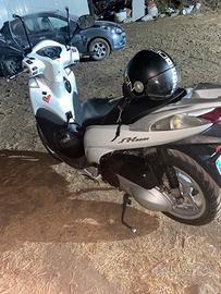 Sh 300 2010