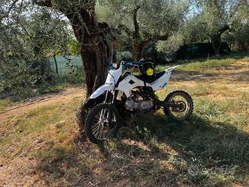 Kayo tt125 2022