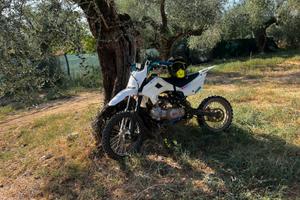 Kayo tt125 2022