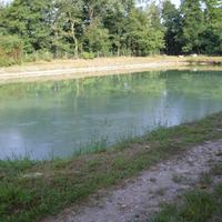 Laghetto per pesca sportiva
