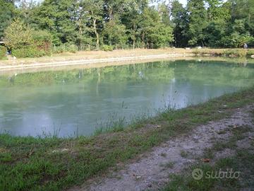 Laghetto per pesca sportiva