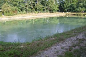 Laghetto per pesca sportiva