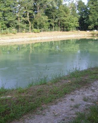Laghetto per pesca sportiva