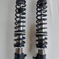 ammortizzatori posteriori Guzzi 650NTX faro tondo 