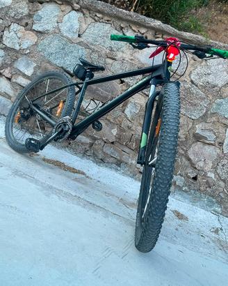 Bici mtb