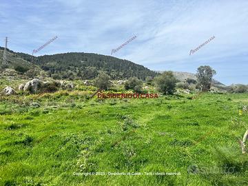 Terreno, Monreale.