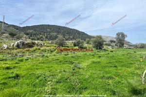 Terreno, Monreale.