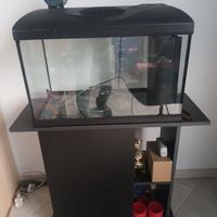 acquario con mobiletto