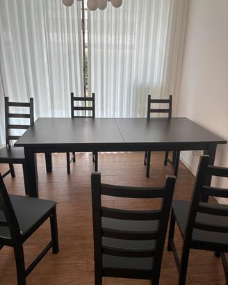 Tavolo 200-293/105/74 + 6 sedie