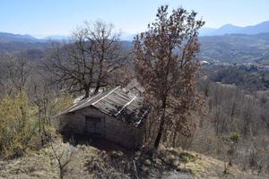 RUSTICO A SANTE MARIE